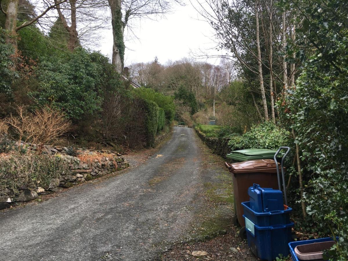 Snowdonia Mawddach Escape Villa ดอลเกซเซย์ ภายนอก รูปภาพ