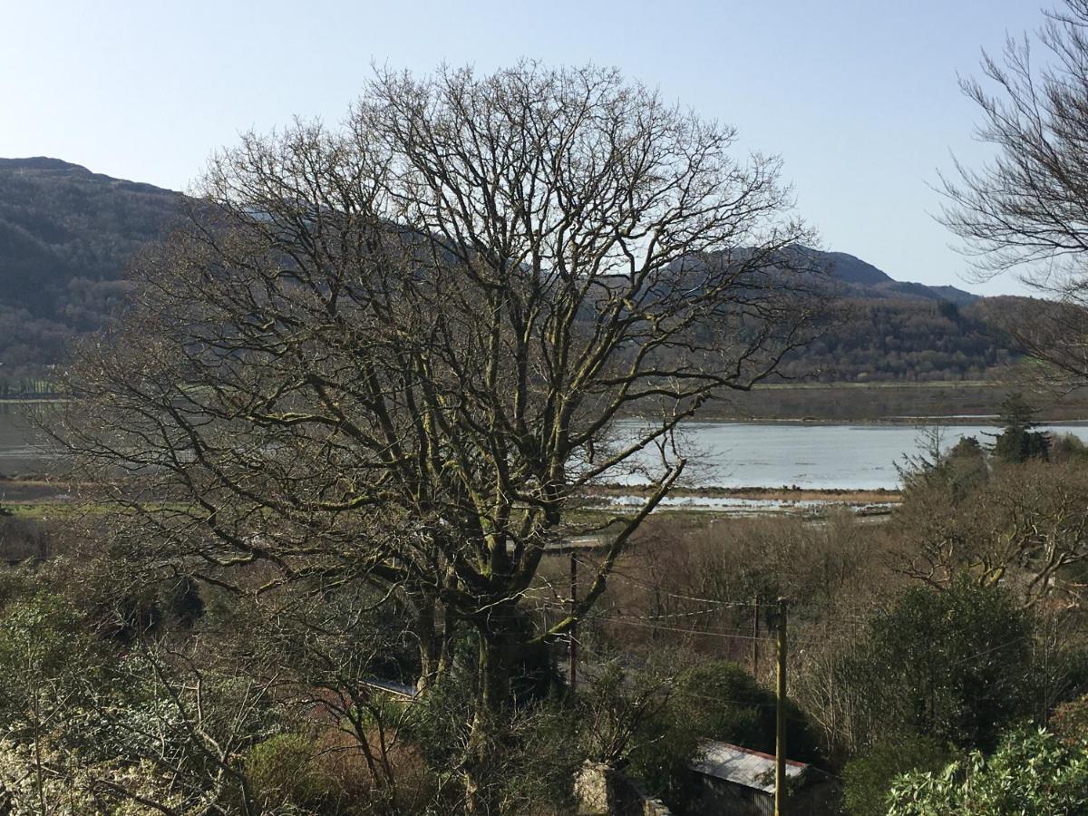 Snowdonia Mawddach Escape Villa ดอลเกซเซย์ ภายนอก รูปภาพ