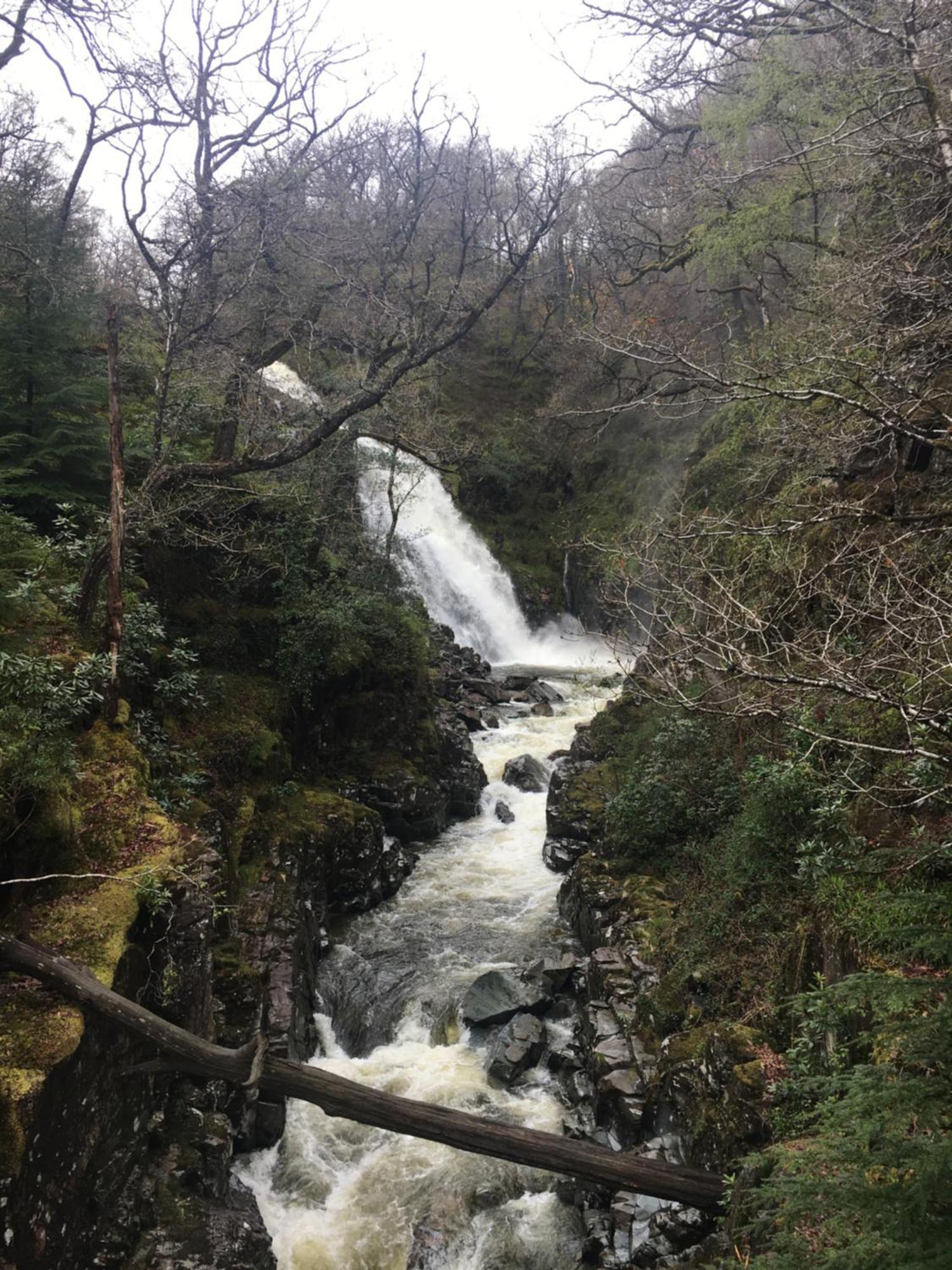 Snowdonia Mawddach Escape Villa ดอลเกซเซย์ ภายนอก รูปภาพ