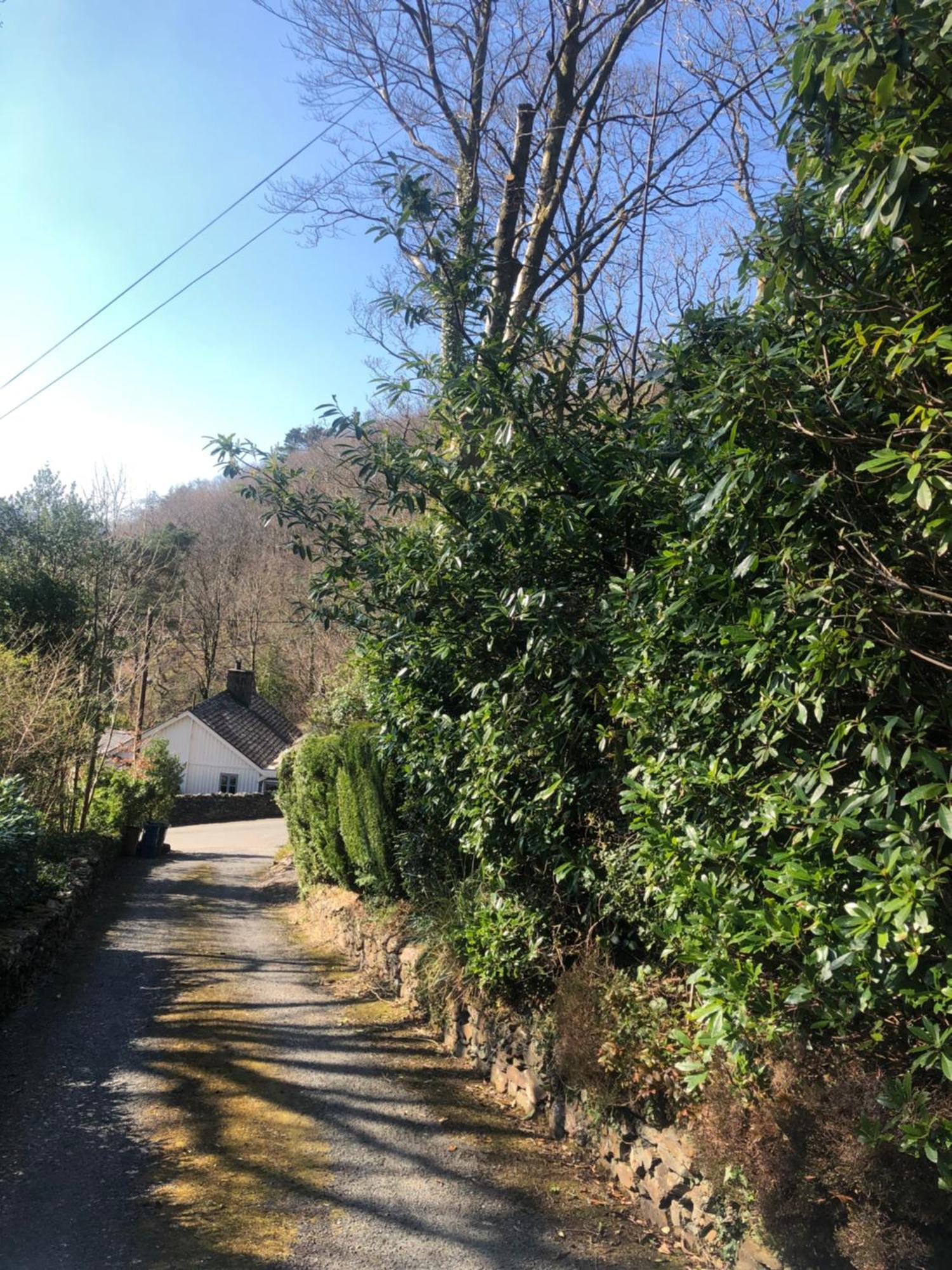 Snowdonia Mawddach Escape Villa ดอลเกซเซย์ ภายนอก รูปภาพ
